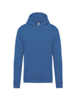 Bleu royal clair
