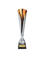 argent/bronze